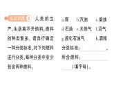初中化學新人教版九年級上冊第七單元跨學科實踐活動六 調查家用燃料的變遷與合理使用作業(yè)課件2024秋