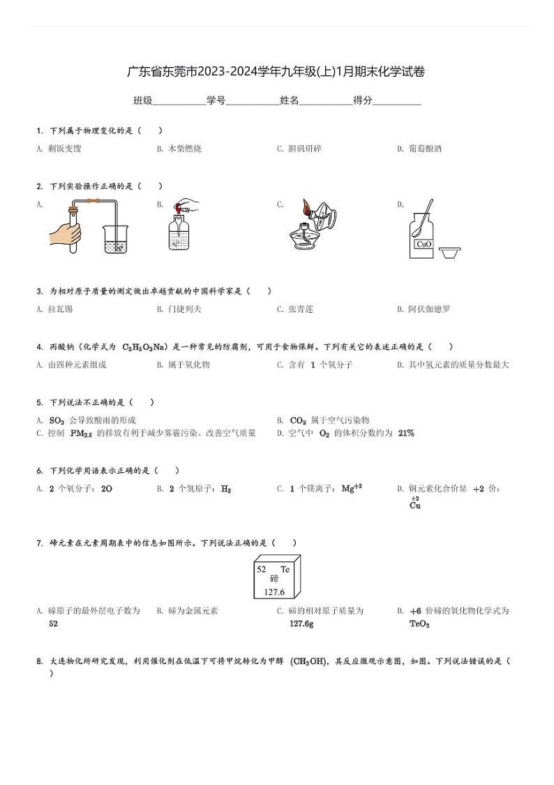 广东省东莞市2023-2024学年九年级(上)1月期末化学试卷(含解析)第1页