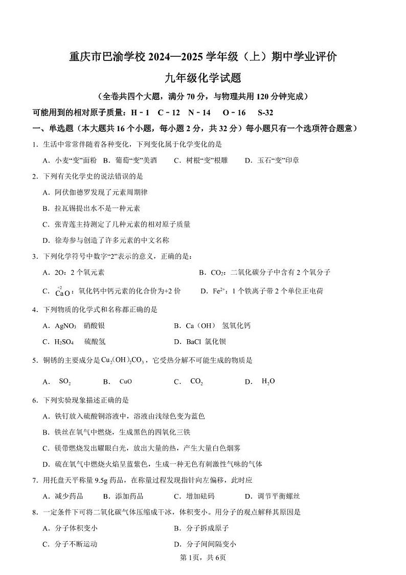 重庆市巴渝学校期中第1页