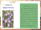 【新教材核心素养】人教版化学九年级下册第10单元课题1 溶液的酸碱性（课件+教学设计）