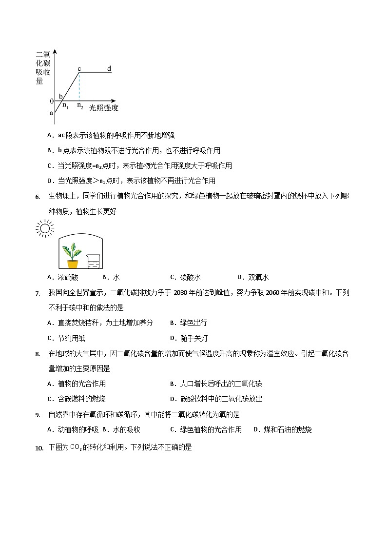 5.3 二氧化碳（第3课时）（练习）第2页