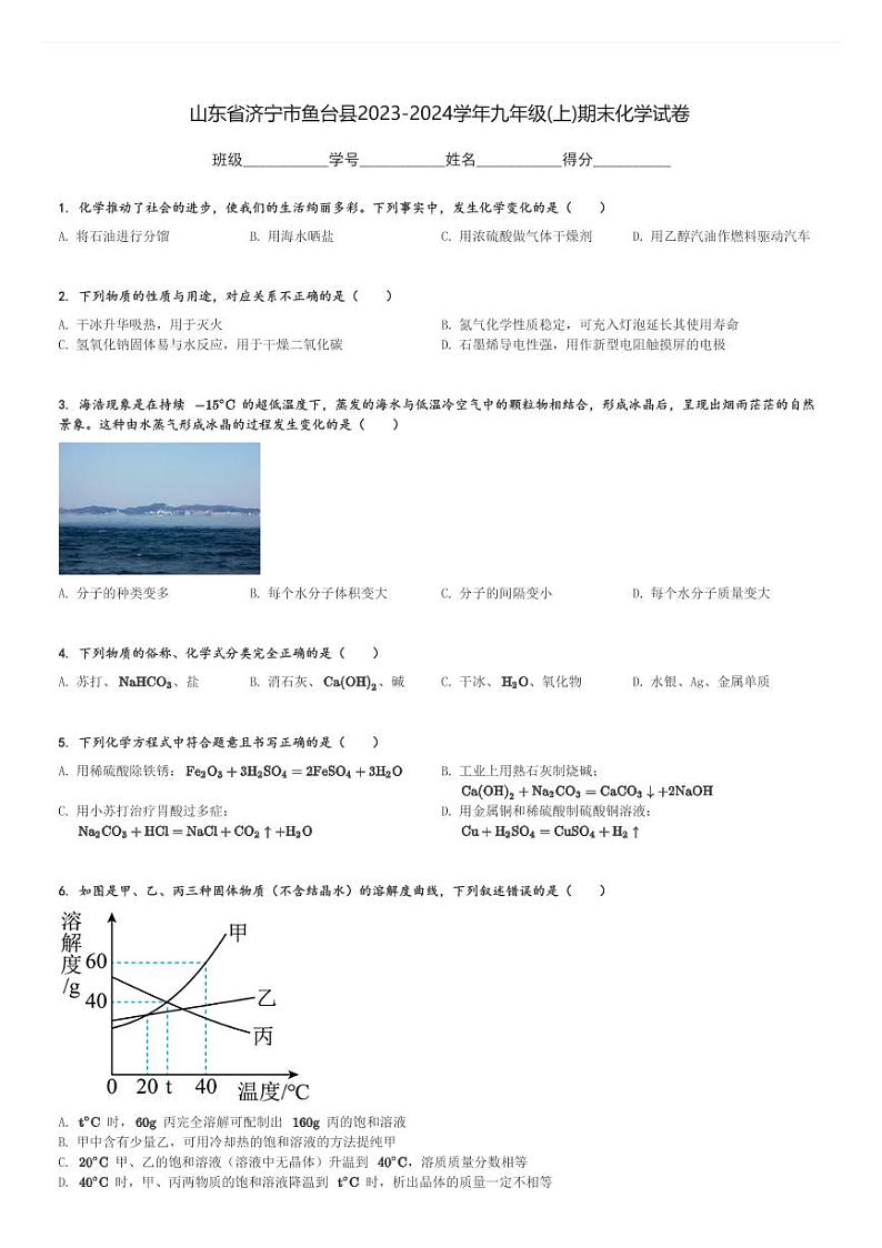 山东省济宁市鱼台县2023-2024学年九年级(上)期末化学试卷(含解析)第1页