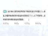 2024-2025人教版（2024）初中化学九年级上册  第一单元 课题2 化学实验与科学探究课件