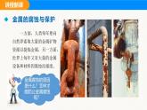人教版（2024）九年级化学下册课件 第八单元 课题3 金属资源的利用和保护 第二课时
