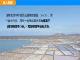 人教版（2024）九年级化学下册课件 第十单元 课题3 常见的盐 第一课时