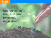 人教版（2024）九年级化学下册课件 第十单元 课题3 常见的盐 第三课时