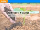 人教版（2024）九年级化学下册课件 第十单元 课题3 常见的盐 第三课时