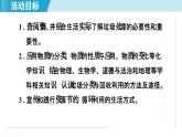 跨学科实践活动7 垃圾的分类与回收利用 课件---2024--2025学年九年级化学人教版（2024）下册