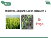 【核心素养】课题3第3课时《常见的盐》课件PPT+教学设计+同步练习（含答案和教学反思）