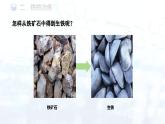 第八单元课题3金属资源的利用和保护课件 2024-2025学年九年级化学人教版（2024）下册