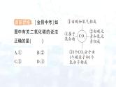 2024-2025人教版（2024）初中化学九年级上册 第四单元 课题3 物质组成的表示课件
