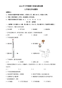 湖南省长沙市浏阳市2024-2025学年九年级上学期11月期中化学试题（原卷版）-A4