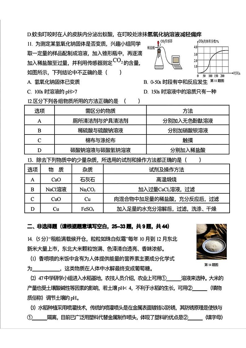 哈尔滨市47中学2024-2025学年九年级上学期11月月考化学试卷和答案第3页