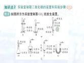 2024-2025人教版（2024）初中化学九年级上册 第六单元  课题3 二氧化碳的实验室制取课件