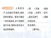 2024-2025人教版（2024）初中化學九年級上冊 第七單元  跨學科實踐活動6 調查家用燃料的變遷與合理使用課件