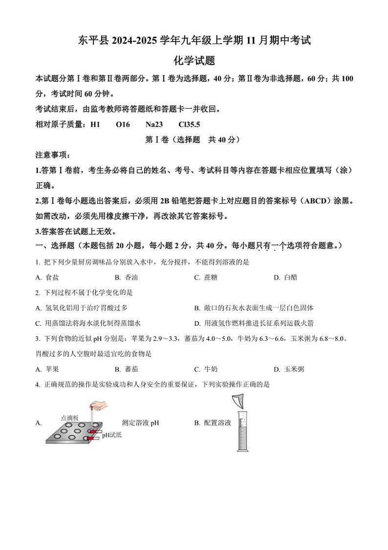 2024～2025学年山东省泰安市东平县九年级(上)期中化学试卷(含答案)第1页