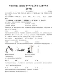 2024～2025学年山东省枣庄市薛城区九年级(上)期中化学试卷(含答案)