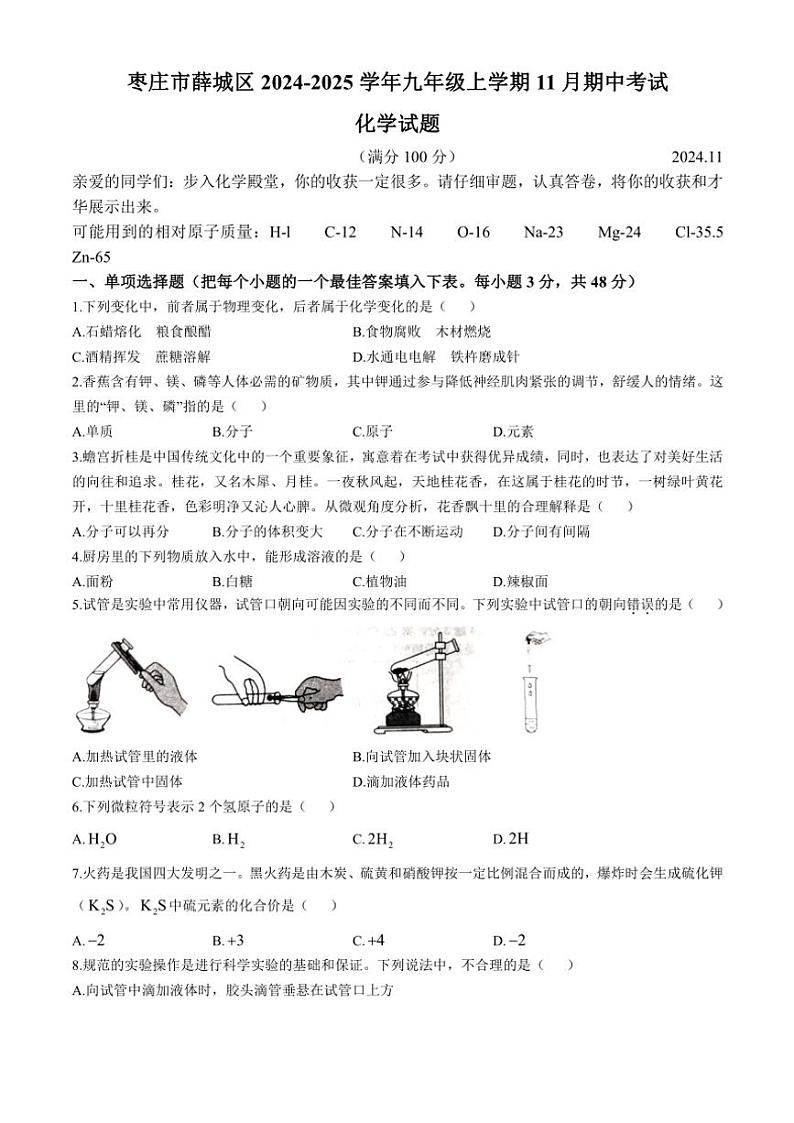 2024～2025学年山东省枣庄市薛城区九年级(上)期中化学试卷(含答案)第1页
