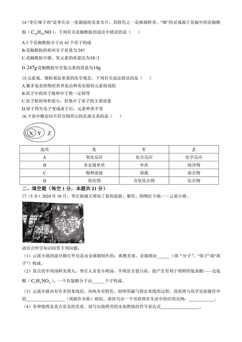 2024～2025学年山东省枣庄市薛城区九年级(上)期中化学试卷(含答案)第3页