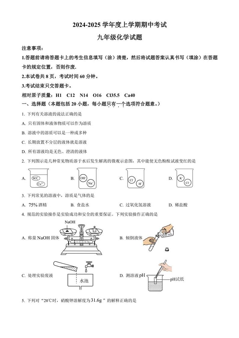 2024～2025学年山东省泰安市肥城市(五四学制)九年级(上)期中化学试卷(含答案)第1页