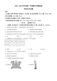 2024～2025学年山东省青岛莱西市(五四学制)九年级(上)期中化学试卷(含答案)