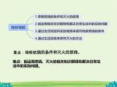 初中化学沪教版九年级上册 第1节 化学反应发生的条件  课件