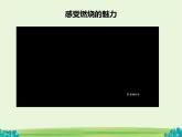 初中化学沪教版九年级上册 第1节 化学反应发生的条件  课件