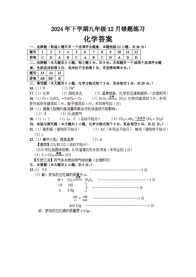 2024年下学期九年级12月错题练习答案-化学第1页
