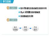 10.1 溶液的酸碱性 课件---2024--2025学年九年级化学人教版（2024）下册