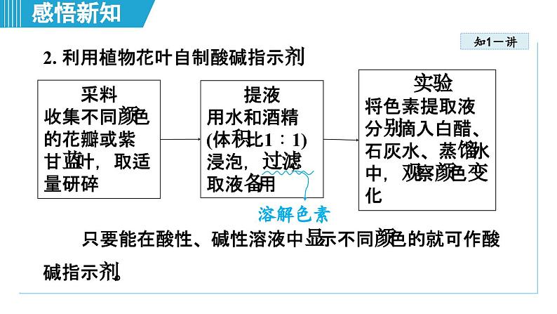 10.1 溶液的酸碱性 课件---2024--2025学年九年级化学人教版（2024）下册第4页