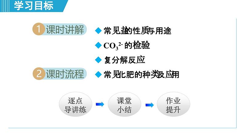 10.3 常见的盐 课件---2024--2025学年九年级化学人教版（2024）下册第2页