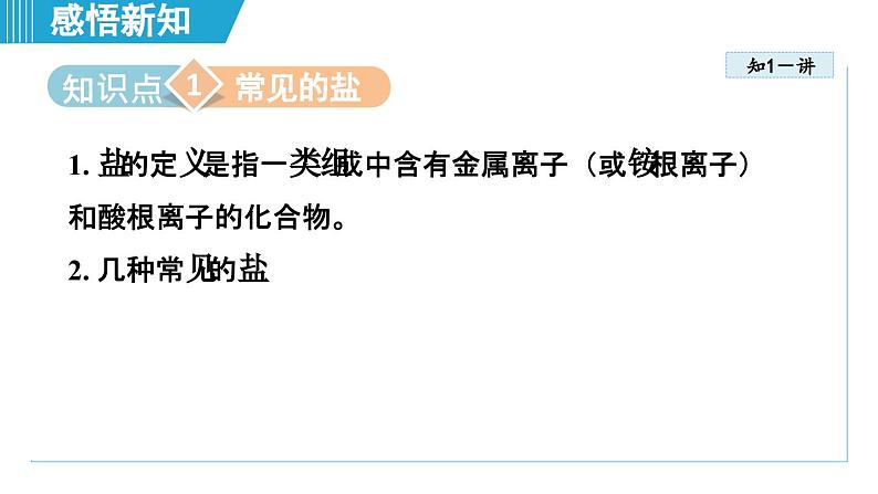 10.3 常见的盐 课件---2024--2025学年九年级化学人教版（2024）下册第3页