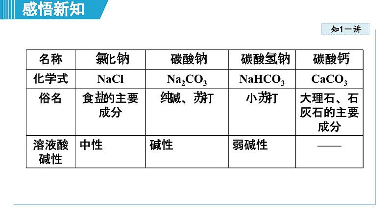 10.3 常见的盐 课件---2024--2025学年九年级化学人教版（2024）下册第4页