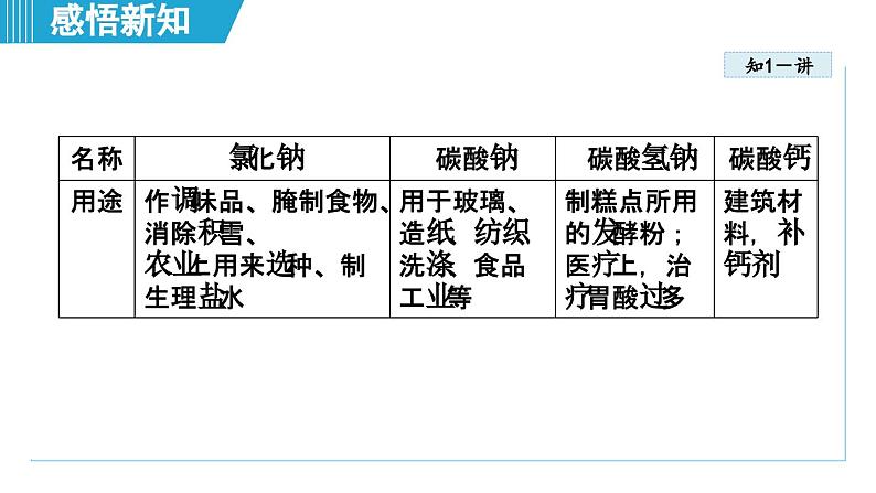 10.3 常见的盐 课件---2024--2025学年九年级化学人教版（2024）下册第5页