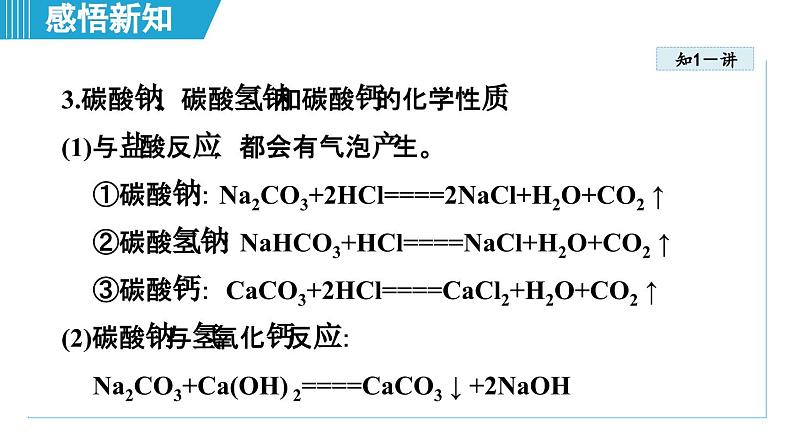 10.3 常见的盐 课件---2024--2025学年九年级化学人教版（2024）下册第6页