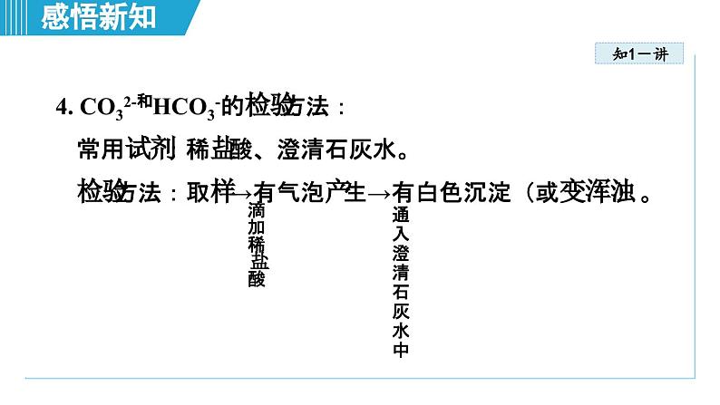 10.3 常见的盐 课件---2024--2025学年九年级化学人教版（2024）下册第7页