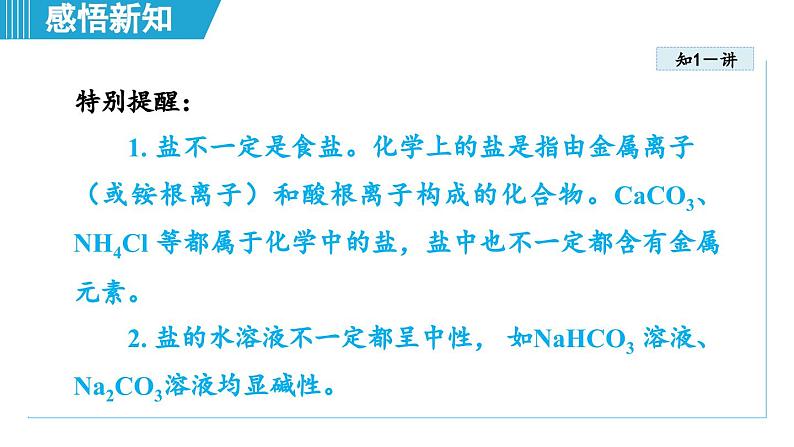 10.3 常见的盐 课件---2024--2025学年九年级化学人教版（2024）下册第8页