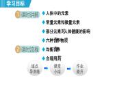 11.1 化学与人体健康 课件---2024--2025学年九年级化学人教版（2024）下册