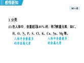 11.1 化学与人体健康 课件---2024--2025学年九年级化学人教版（2024）下册