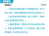 實驗活動8 常見酸、堿的化學(xué)性質(zhì) 課件---2024--2025學(xué)年九年級化學(xué)人教版（2024）下冊