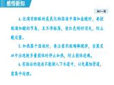 實驗活動8 常見酸、堿的化學(xué)性質(zhì) 課件---2024--2025學(xué)年九年級化學(xué)人教版（2024）下冊