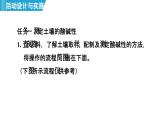 跨学科实践活动9 探究土壤酸碱性对植物生长的影响 课件---2024--2025学年九年级化学人教版（2024）下册
