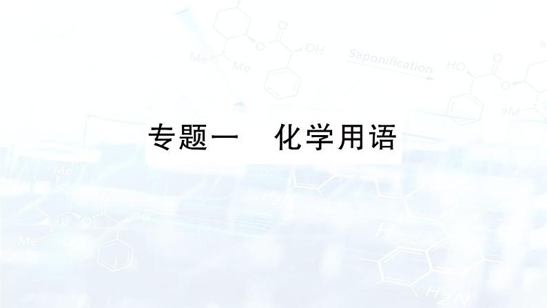 2024-2025人教版（2024）初中化学九年级上册专题复习 专题一 化学用语课件第1页