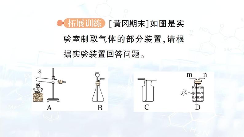 2024-2025人教版（2024）初中化学九年级上册 专题复习 专题三 常见气体的实验室制取课件第5页