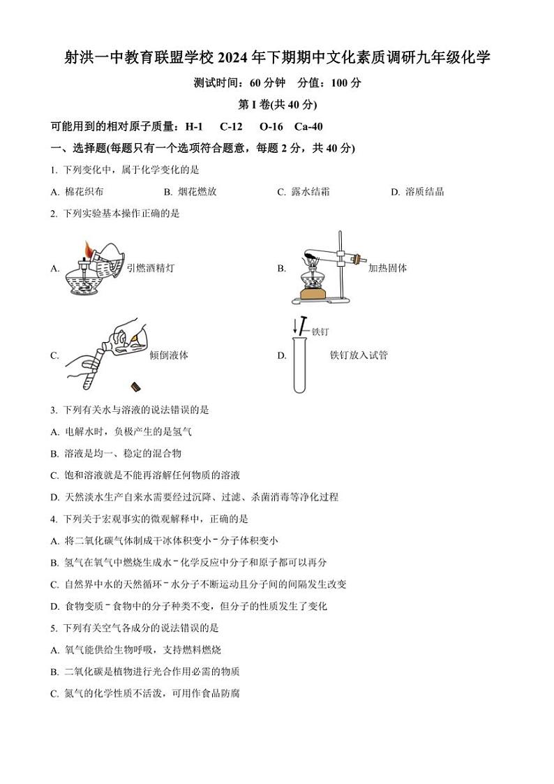 2024_2025学年四川省射洪市一中教育联盟学校九年级(上)期中化学试卷(含答案)第1页