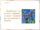 【大单元整体教学】沪教版（全国）化学九年级下册8.1  溶液的酸碱性（课件+大单元教学设计+课后作业）