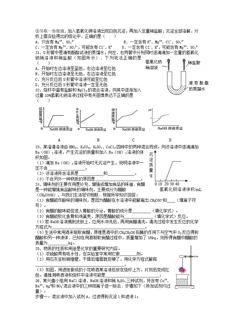 第十讲 酸和碱——2024-2025学年浙江省中考科学专项练习（化学专题）第3页