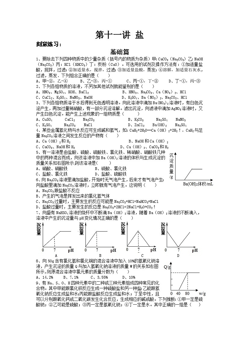 第十一讲 盐——2024-2025学年浙江省中考科学专项练习（化学专题）第1页