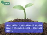 【核心素养】《跨学科实践活动9探究土壤酸碱性对植物生长的影响》课件+教学设计+分层练习