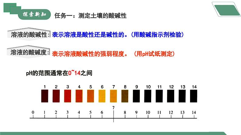 【核心素养】《跨学科实践活动9探究土壤酸碱性对植物生长的影响》课件PPT第4页